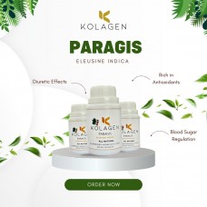 Paragis